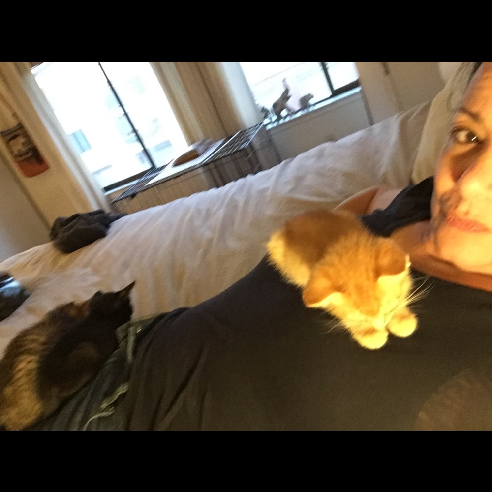 Meet your Posher, Lisa